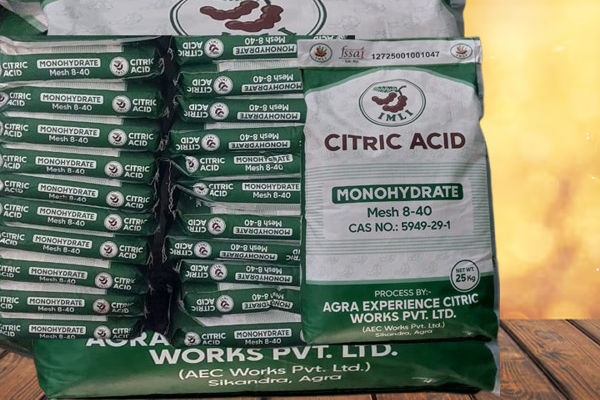 Fermentation Process