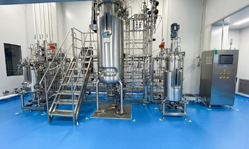 Citric Acid Raw Material Preparation Process